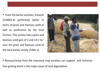 Crop related interventions at the Kabe Watershed Pilot Project in Ethiopia, 2011-2013