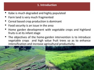 Home garden and backyard interventions at the Kabe Watershed Pilot Project in Ethiopia, 2011-2013