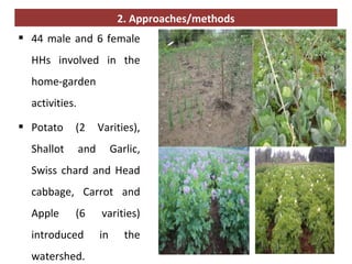 Home garden and backyard interventions at the Kabe Watershed Pilot Project in Ethiopia, 2011-2013