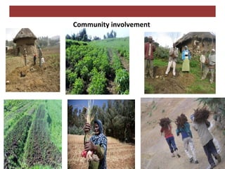 Home garden and backyard interventions at the Kabe Watershed Pilot Project in Ethiopia, 2011-2013
