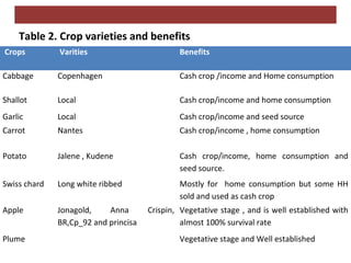 Home garden and backyard interventions at the Kabe Watershed Pilot Project in Ethiopia, 2011-2013