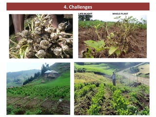 Home garden and backyard interventions at the Kabe Watershed Pilot Project in Ethiopia, 2011-2013