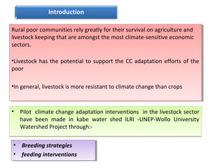 Livestock (breed and feed) interventions at the Kabe Watershed Pilot Project in Ethiopia, 2011-2013