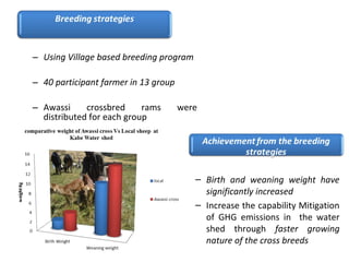 Livestock (breed and feed) interventions at the Kabe Watershed Pilot Project in Ethiopia, 2011-2013