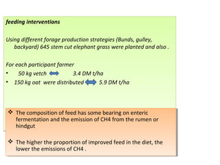 Livestock (breed and feed) interventions at the Kabe Watershed Pilot Project in Ethiopia, 2011-2013