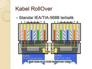 Kabel RollOver
   Standar IEA/TIA-568B terbalik
 