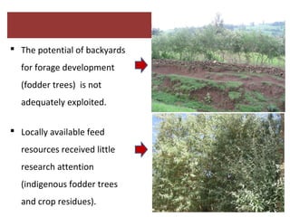 Report on the implementation of the Kabe Watershed Pilot Project in Ethiopia, 2011-2013