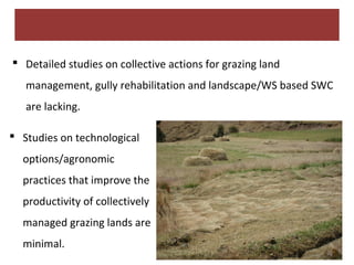 Report on the implementation of the Kabe Watershed Pilot Project in Ethiopia, 2011-2013