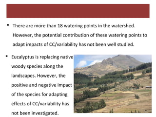 Report on the implementation of the Kabe Watershed Pilot Project in Ethiopia, 2011-2013