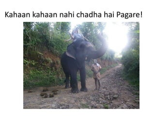 Kahaan kahaan nahi chadha hai Pagare!
 