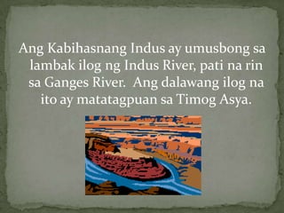 AngKabihasnang Indus ay umusbongsalambakilogng Indus River, patinarinsa Ganges River.  Angdalawangilognaito ay matatagpuansaTimogAsya.