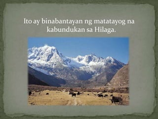 Ito ay binabantayanngmatatayognakabundukansaHilaga.