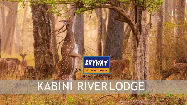 Kabini River Lodge