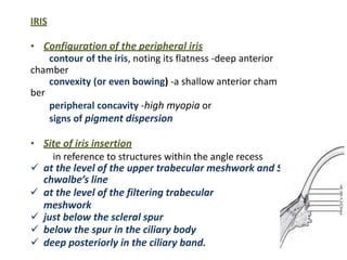 IRIS
• Configuration of the peripheral iris
contour of the iris, noting its flatness -deep anterior
chamber
convexity (or even bowing) -a shallow anterior cham
ber
peripheral concavity -high myopia or
signs of pigment dispersion
• Site of iris insertion
in reference to structures within the angle recess
 at the level of the upper trabecular meshwork and S
chwalbe’s line
 at the level of the filtering trabecular
meshwork
 just below the scleral spur
 below the spur in the ciliary body
 deep posteriorly in the ciliary band.
 