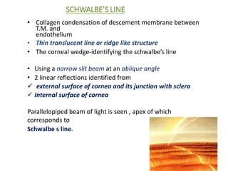 SCHWALBE’S LINE
• Collagen condensation of descement membrane between
T.M. and
endothelium
• Thin translucent line or ridge like structure
• The corneal wedge-identifying the schwalbe’s line
• Using a narrow slit beam at an oblique angle
• 2 linear reflections identified from
 external surface of cornea and its junction with sclera
 Internal surface of cornea
Parallelopiped beam of light is seen , apex of which
corresponds to
Schwalbe s line.
 