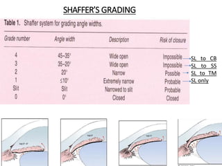 SHAFFER’S GRADING
SL to CB
SL to SS
SL to TM
SL only
 