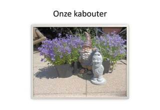 Onze kabouter
 