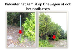 Kabouter net gemist op Driewegen of ook
het naaikussen
 