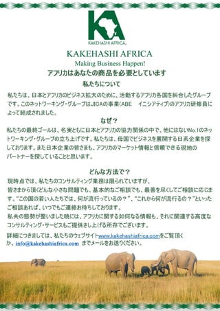 KAKEHASHI AFRICA brochure japanese ver