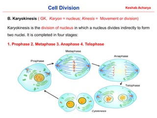 Comprehensive Overview of Cell Division: Processes and Significance in ...
