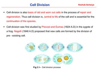 Comprehensive Overview of Cell Division: Processes and Significance in ...