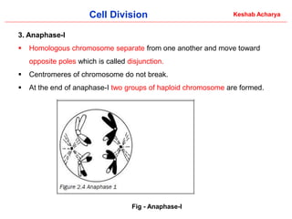 Comprehensive Overview of Cell Division: Processes and Significance in ...