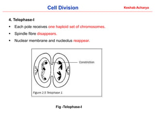 Comprehensive Overview of Cell Division: Processes and Significance in ...
