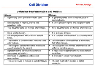 Comprehensive Overview of Cell Division: Processes and Significance in ...