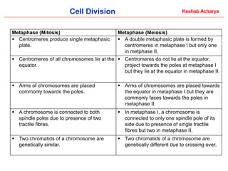 Comprehensive Overview of Cell Division: Processes and Significance in ...