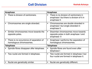 Comprehensive Overview of Cell Division: Processes and Significance in ...