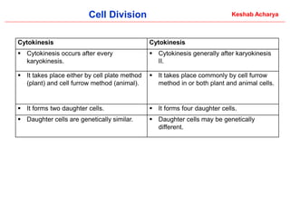 Comprehensive Overview of Cell Division: Processes and Significance in ...