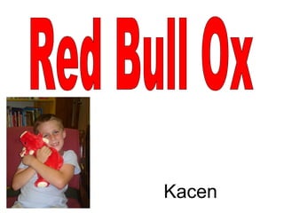 Red Bull Ox Kacen 