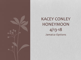 Jamaica Options
KACEY CONLEY
HONEYMOON
4/13-18
 