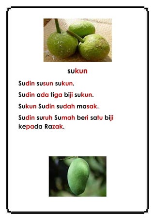 sukun
Sudin susun sukun.
Sudin ada tiga biji sukun.
Sukun Sudin sudah masak.
Sudin suruh Sumah beri satu biji
kepada Razak.
 
