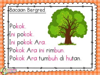 Pokok.
Ini pokok.
Ini pokok Ara.
Pokok Ara ini rimbun.
Pokok Ara tumbuh di hutan.
Bacaan Bergred.
 
