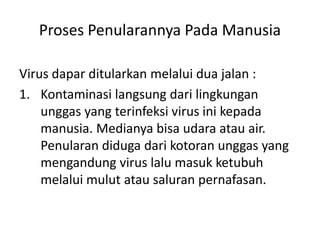 Proses Penularannya Pada Manusia
Virus dapar ditularkan melalui dua jalan :
1. Kontaminasi langsung dari lingkungan
unggas yang terinfeksi virus ini kepada
manusia. Medianya bisa udara atau air.
Penularan diduga dari kotoran unggas yang
mengandung virus lalu masuk ketubuh
melalui mulut atau saluran pernafasan.

 