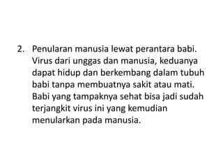 2. Penularan manusia lewat perantara babi.
Virus dari unggas dan manusia, keduanya
dapat hidup dan berkembang dalam tubuh
babi tanpa membuatnya sakit atau mati.
Babi yang tampaknya sehat bisa jadi sudah
terjangkit virus ini yang kemudian
menularkan pada manusia.

 