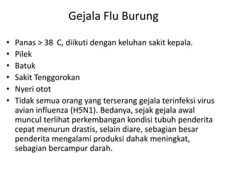 Gejala Flu Burung
•
•
•
•
•
•

Panas > 38 C, diikuti dengan keluhan sakit kepala.
Pilek
Batuk
Sakit Tenggorokan
Nyeri otot
Tidak semua orang yang terserang gejala terinfeksi virus
avian influenza (H5N1). Bedanya, sejak gejala awal
muncul terlihat perkembangan kondisi tubuh penderita
cepat menurun drastis, selain diare, sebagian besar
penderita mengalami produksi dahak meningkat,
sebagian bercampur darah.

 