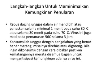 Langkah-langkah Untuk Meminimalkan
Kemungkinan Penularan
• Rebus daging unggas dalam air mendidih atau
panaskan selama minimal 1 menit pada suhu 80 C
atau selama 30 menit pada suhu 70 C. Virus ini juga
mati pada pemanasan 56C selama 3 jam.
• Konsumsilah unggas dengan pengolahan yang benarbenar matang, misalnya direbus atau digoreng. Bila
ingin dikonsumsi dengan cara dibakar pastikan
kematangannya merata disemua bagian untuk
mengantisipasi kemungkinan adanya virus ini.

 