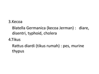 3.Kecoa
Blatella Germanica (kecoa Jerman) : diare,
disentri, typhoid, cholera
4.Tikus
Rattus diardi (tikus rumah) : pes, murine
thypus

 
