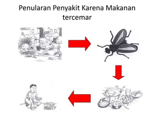 Penularan Penyakit Karena Makanan
tercemar

 