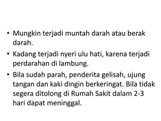 • Mungkin terjadi muntah darah atau berak
darah.
• Kadang terjadi nyeri ulu hati, karena terjadi
perdarahan di lambung.
• Bila sudah parah, penderita gelisah, ujung
tangan dan kaki dingin berkeringat. Bila tidak
segera ditolong di Rumah Sakit dalam 2-3
hari dapat meninggal.

 