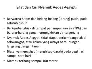 Sifat dan Ciri Nyamuk Aedes Aegypti
• Berwarna hitam dan belang-belang (loreng) putih, pada
seluruh tubuh
• Berkembangbiak di tempat penampungan air (TPA) dan
barang-barang yang memungkinkan air tergenang
• Nyamuk Aedes Aegypti tidak dapat berkembangbiak di
selokan/got, atau kolam yang airnya berhubungan
langsung dengan tanah
• Biasanya menggigit (menghisap darah) pada pagi hari
sampai sore hari
• Mampu terbang sampai 100 meter

 
