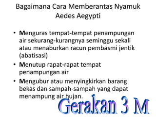 Bagaimana Cara Memberantas Nyamuk
Aedes Aegypti
• Menguras tempat-tempat penampungan
air sekurang-kurangnya seminggu sekali
atau menaburkan racun pembasmi jentik
(abatisasi)
• Menutup rapat-rapat tempat
penampungan air
• Mengubur atau menyingkirkan barang
bekas dan sampah-sampah yang dapat
menampung air hujan.

 