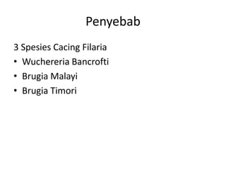 Penyebab
3 Spesies Cacing Filaria
• Wuchereria Bancrofti
• Brugia Malayi
• Brugia Timori

 