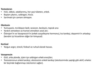 Testosteron	
 
•  Hızlı,	
 iddialı,	
 odaklanmış,	
 her	
 şeyi	
 tüketen,	
 erkek.	
 
•  Baştan	
 çıkarıcı,	
 saldırgan,	
 hissiz.	
 
•  Sarılmak	
 için	
 zamanı	
 olmayan.	
 
Oksitosin	
 
•  Yumuşacık,	
 mırıldayan	
 kedi;	
 sevecen,	
 besleyici,	
 toprak	
 ana	
 	
 
•  Yardım	
 etmekten	
 ve	
 hizmet	
 etmekten	
 zevk	
 alır;	
 
•  Östrojen’in	
 ve	
 Vasopressin’in	
 (erkek	
 sosyalleşme	
 hormonu),	
 kız	
 kardeşi,	
 dopamin’in	
 arkadaşı	
 
(kendini	
 iyi	
 hissejren	
 diğer	
 bir	
 kimyasal)	
 
Kor0zol	
 
•  Yorgun	
 argın;	
 stresli;	
 ﬁziksel	
 ve	
 ruhsal	
 olarak	
 hassas.	
 
Vasopressin	
 
•  Gizli,	
 arka	
 planda,	
 içten	
 içe	
 saldırgan	
 erkek	
 enerjiler;	
 
•  Testosteronun	
 erkek	
 kardeşi,	
 oksitosinin	
 erkek	
 kardeşi	
 (oksitosininde	
 yapZğı	
 gibi	
 ak^f,	
 erkeksi	
 
bir	
 biçimde	
 bağlanmayı	
 istemenizi	
 sağlar).	
 	
 

 