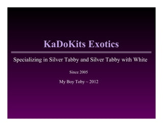 KaDoKits Exotics
Specializing in Silver Tabby and Silver Tabby with White

                       Since 2005

                   My Boy Toby ~ 2012
 