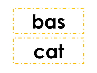 bas
cat

 