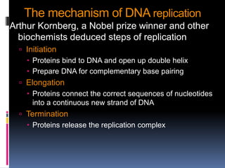 DNA REPLICATION AND REPAIR | PPTX
