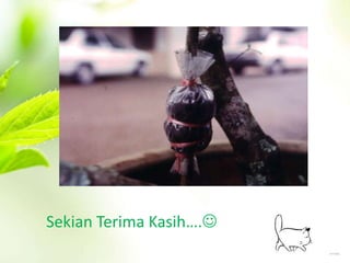 Sekian Terima Kasih…. 
